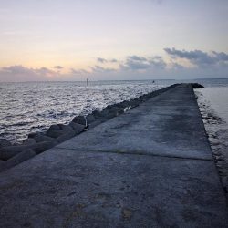 段々とサイズアップ