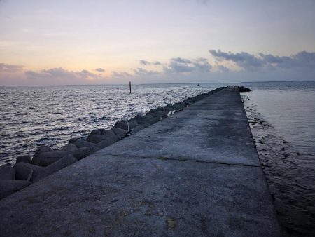 段々とサイズアップ