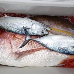 康仁丸・ジギング釣り果