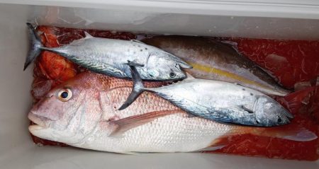 康仁丸・ジギング釣り果