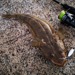 久しぶりのターポン　良いサイズ