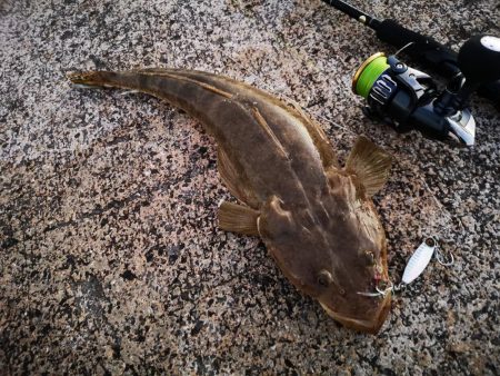 久しぶりのターポン　良いサイズ