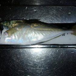 先週のリベンジ