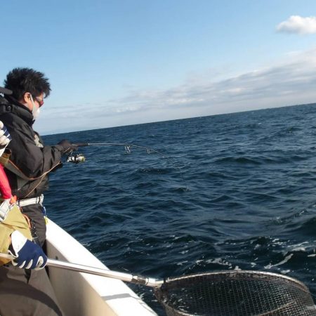 遊漁船SOUTH 11/11釣果