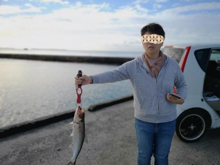 夫婦で朝マズメ