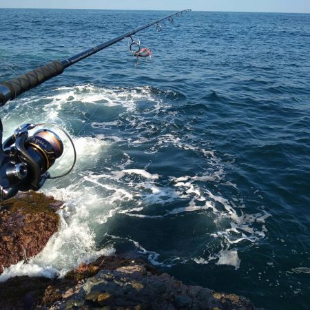 越前地磯でトップにドン