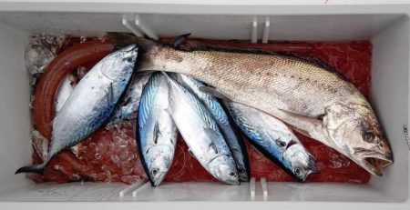 康仁丸・ジギング釣り果