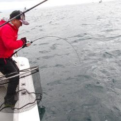 遊漁船SOUTH(サウス)釣果