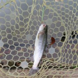 久しぶりのエリア！