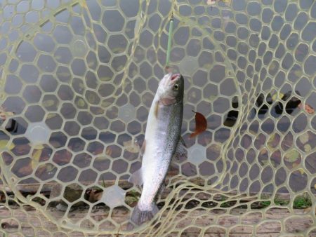 久しぶりのエリア！