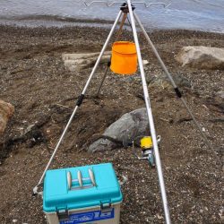 落ちギス釣り 小型ばかり