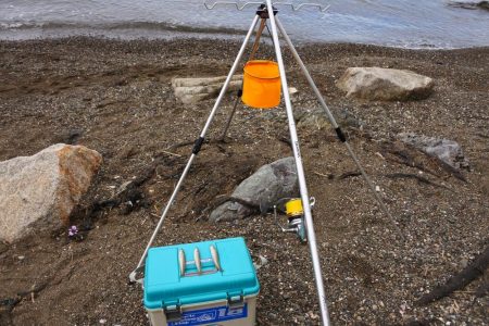 落ちギス釣り 小型ばかり