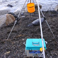 落ちギス釣り 強風で退散