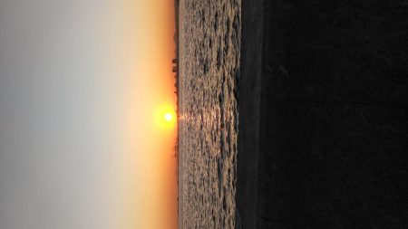 チヌは小さいが、キビレは元気!