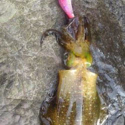 ラッキーなのか❓