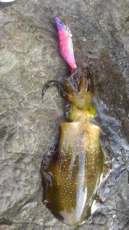 ラッキーなのか❓