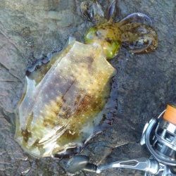 ジギルとハイド？