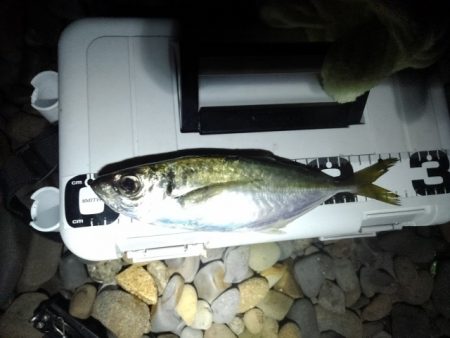 (尺アジ)フロートゲーム