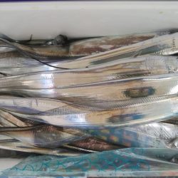 泉州丸　釣果