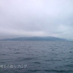 渋い中から28cm！