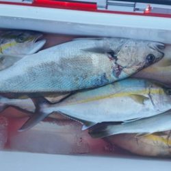 第五慶門丸 釣果