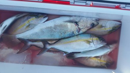 第五慶門丸 釣果