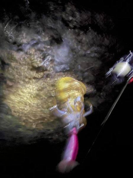 エギング大会開催してアオリイカ釣ってきました。キロアップ釣った人も( ﾟДﾟ)