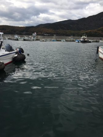 ファミリーフィッシング5