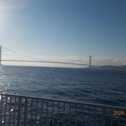 大蔵海岸グレ絶好調