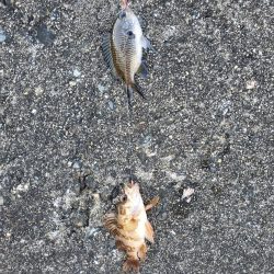 明石一文字で10目