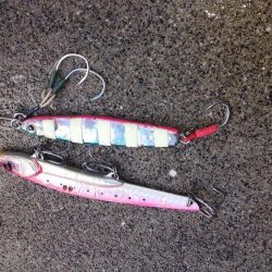 サゴッシング２