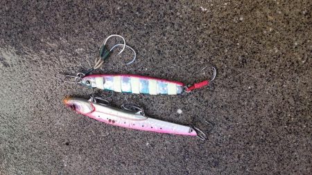 サゴッシング２