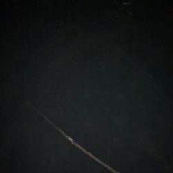 アジングで良型の…