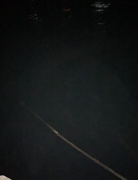 アジングで良型の…