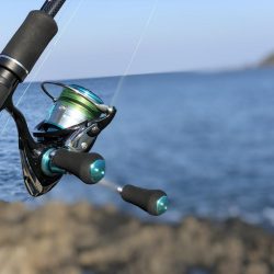 加賀港（桂島）での釣行