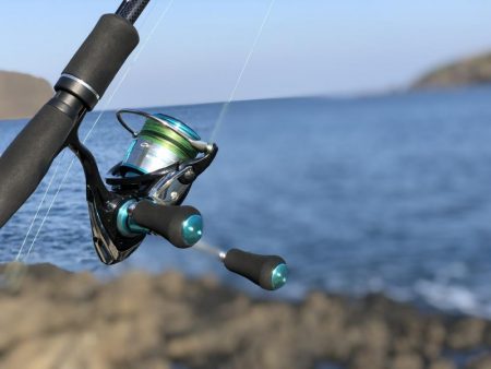 加賀港（桂島）での釣行