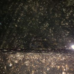 ライトゲーム！！