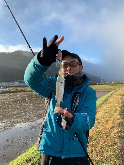 爆風で沈黙のシーバスと。