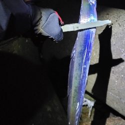 フロートアジングで5種