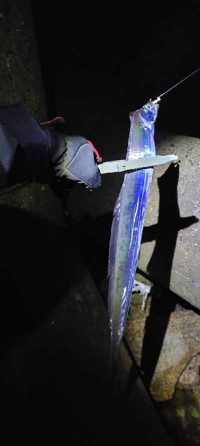 フロートアジングで5種