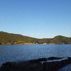 秋アオリイカ終盤