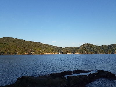 秋アオリイカ終盤