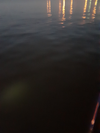 もうアジしか狙わん