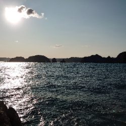 勝浦山成でグレ釣り