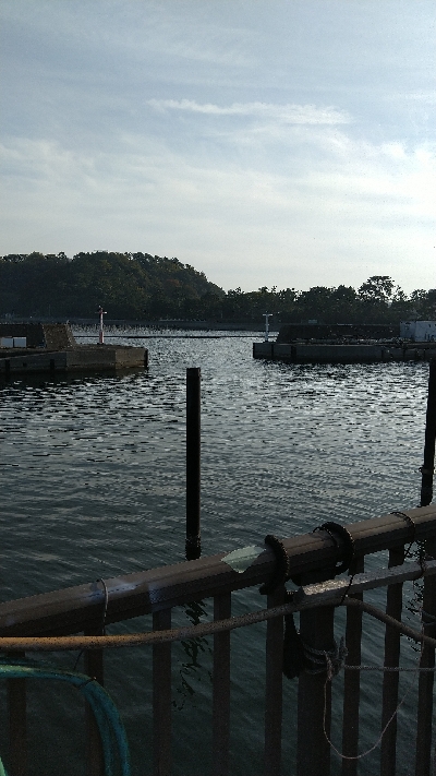 サビキ釣り撃沈