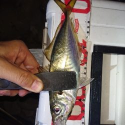 ライトゲーム楽しい