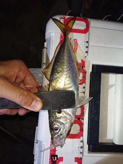 ライトゲーム楽しい