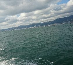 サゴシ、ハマチバラしモード挙げ句はサゴシカッター3発や！