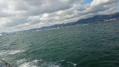 サゴシ、ハマチバラしモード挙げ句はサゴシカッター3発や！