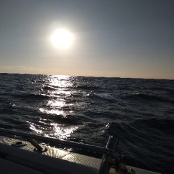 初スーパーライトジギング